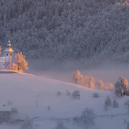 Apartmaji Pr Smolet Διαμέρισμα Škofja Loka