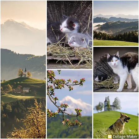 Apartmaji Pr Smolet * Škofja Loka