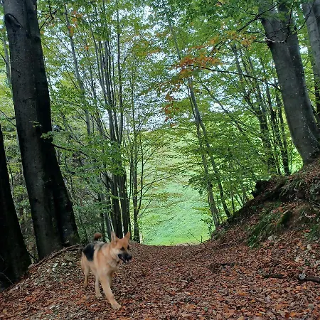 Apartmaji Pr Smolet * Škofja Loka