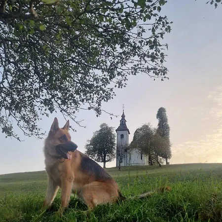 Apartamento Apartmaji Pr Smolet *