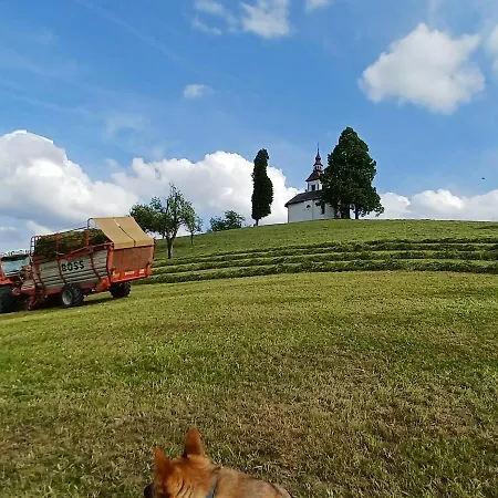 Apartmaji Pr Smolet Škofja Loka