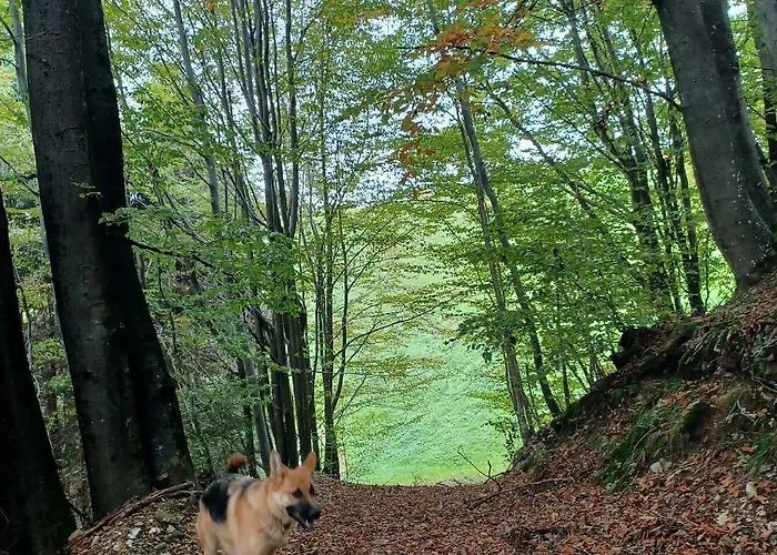 Apartmaji Pr Smolet * Skofja Loka