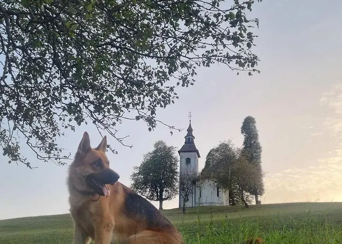 Apartma Apartmaji Pr Smolet *