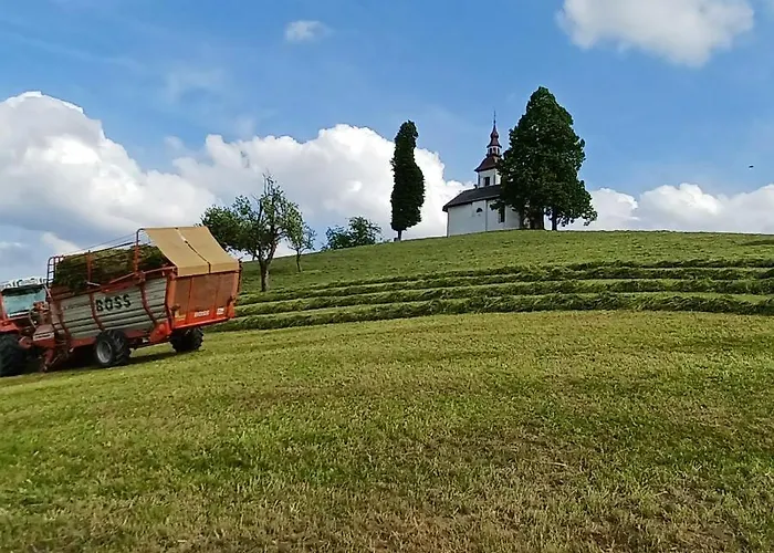 Apartmaji Pr Smolet Skofja Loka